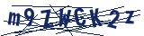 Captcha-Zeichenfolge