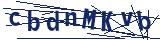 Captcha-Zeichenfolge