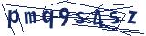 Captcha-Zeichenfolge