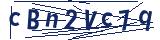 Captcha-Zeichenfolge