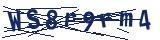 Captcha-Zeichenfolge