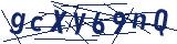 Captcha-Zeichenfolge
