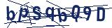 Captcha-Zeichenfolge