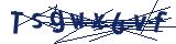Captcha-Zeichenfolge