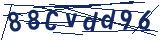 Captcha-Zeichenfolge