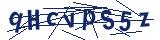 Captcha-Zeichenfolge
