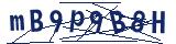 Captcha-Zeichenfolge