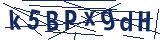 Captcha-Zeichenfolge