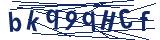 Captcha-Zeichenfolge
