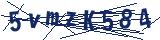Captcha-Zeichenfolge