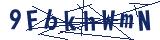 Captcha-Zeichenfolge