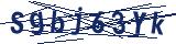 Captcha-Zeichenfolge