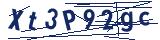 Captcha-Zeichenfolge