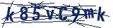 Captcha-Zeichenfolge