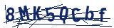 Captcha-Zeichenfolge