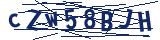 Captcha-Zeichenfolge