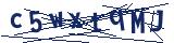Captcha-Zeichenfolge