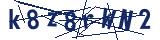 Captcha-Zeichenfolge