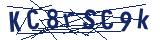 Captcha-Zeichenfolge