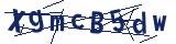 Captcha-Zeichenfolge