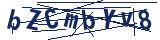 Captcha-Zeichenfolge