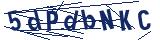 Captcha-Zeichenfolge