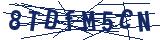 Captcha-Zeichenfolge