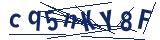 Captcha-Zeichenfolge