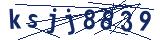 Captcha-Zeichenfolge