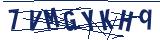 Captcha-Zeichenfolge
