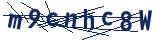 Captcha-Zeichenfolge