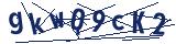 Captcha-Zeichenfolge