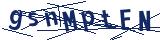 Captcha-Zeichenfolge