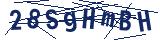 Captcha-Zeichenfolge