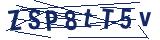 Captcha-Zeichenfolge