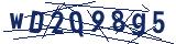 Captcha-Zeichenfolge