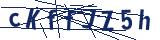 Captcha-Zeichenfolge