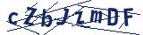 Captcha-Zeichenfolge
