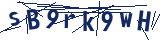 Captcha-Zeichenfolge