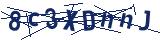 Captcha-Zeichenfolge