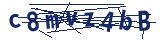Captcha-Zeichenfolge