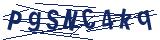 Captcha-Zeichenfolge