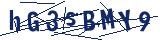 Captcha-Zeichenfolge