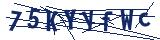 Captcha-Zeichenfolge