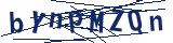 Captcha-Zeichenfolge