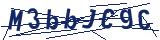 Captcha-Zeichenfolge