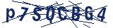 Captcha-Zeichenfolge