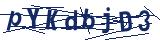 Captcha-Zeichenfolge