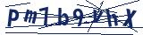 Captcha-Zeichenfolge