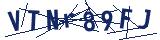 Captcha-Zeichenfolge